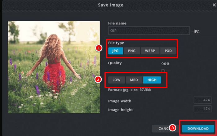 הורדת סימן מים של Pixlr