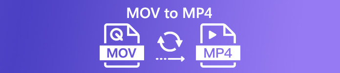 MOV na MP4