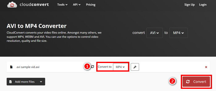 Cloudový převod AVI do MP4