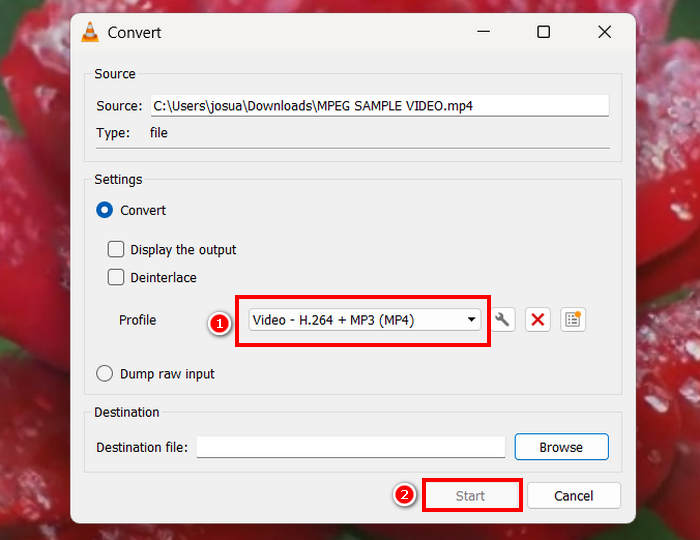Převod AVI do MP4 a VLC