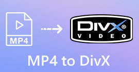 MP4'ten DivX'e