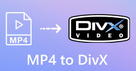 MP4 hingga DivX