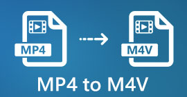 MP4からM4V