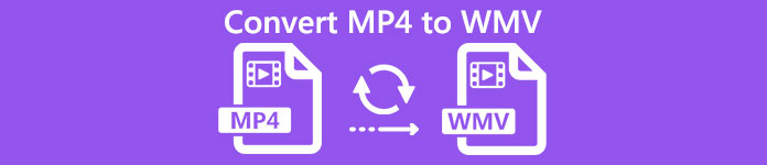 MP4 naar WMV