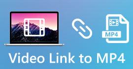 Vídeo LInk a MP4
