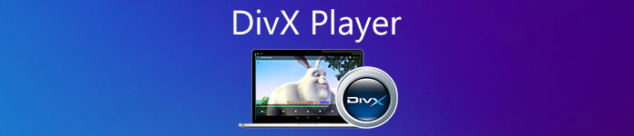 Reproductor DivX