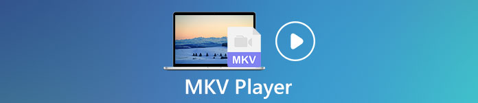 MKV-speler