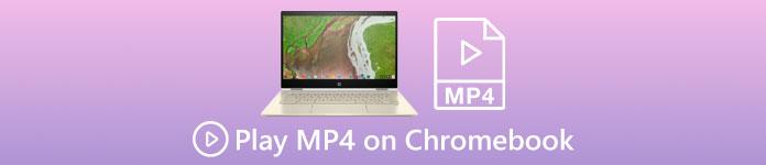 MP4 را در Chromebook پخش کنید