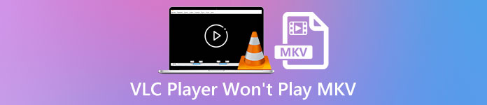 VLC Player Won’t Play MKV