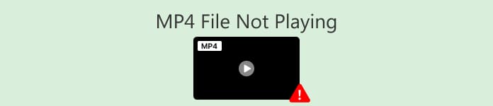 Soubor MP4 se nepřehrává