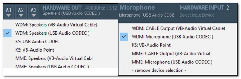 Separate Audio Input And Output