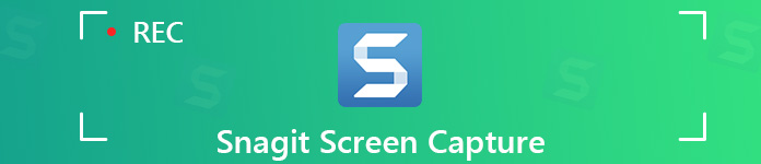 Capture d'écran Snagit