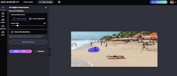 Antarmuka Picwand AI Object Remover