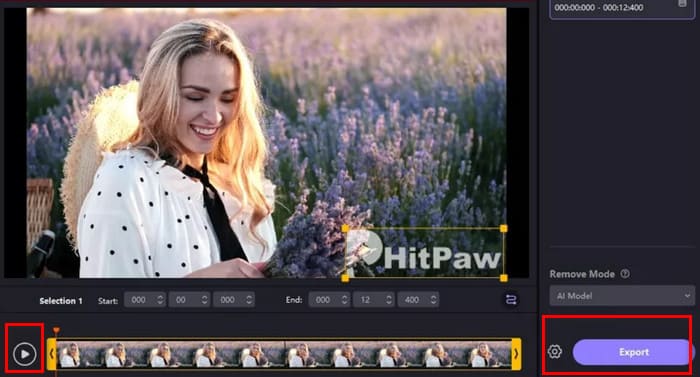 HitPaw Watermark Remover Ekspor Video