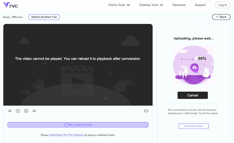 FVC Video Converter Process