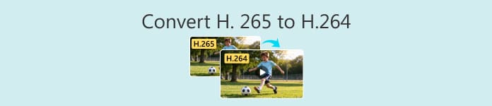 Konverter H265 til H264