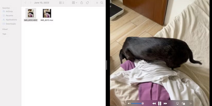 Fotos-app forhåndsvisning: Lav Live Photo om til video