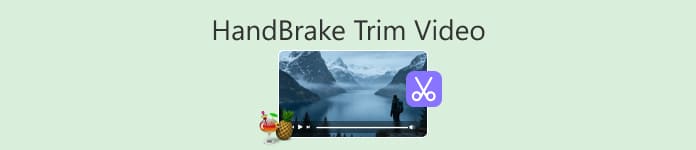 Handbrake Trim Video