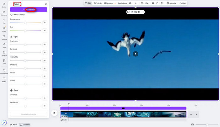 Enhance Video Canva Adjust