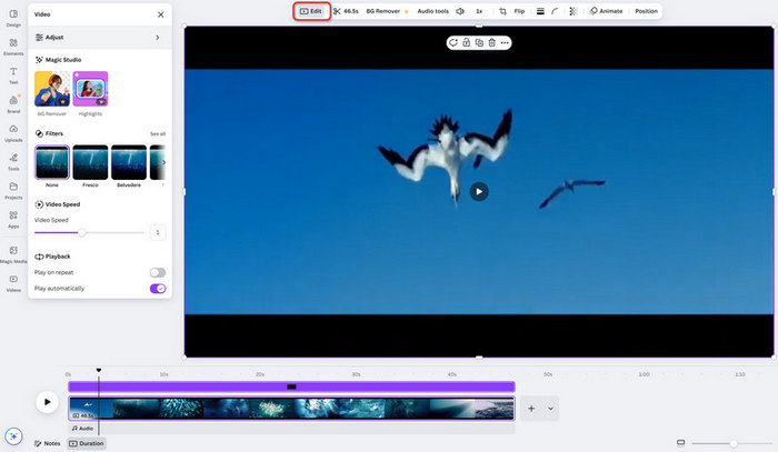 Enhance Video Canva Edit