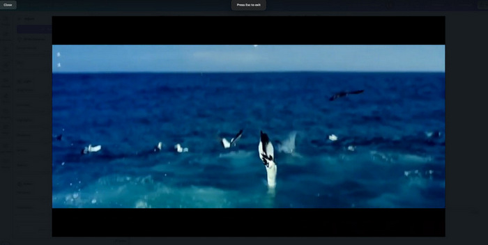 Enhance Video Canva Preview