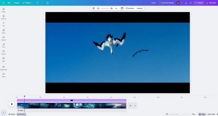 Enhance Video Canva Start