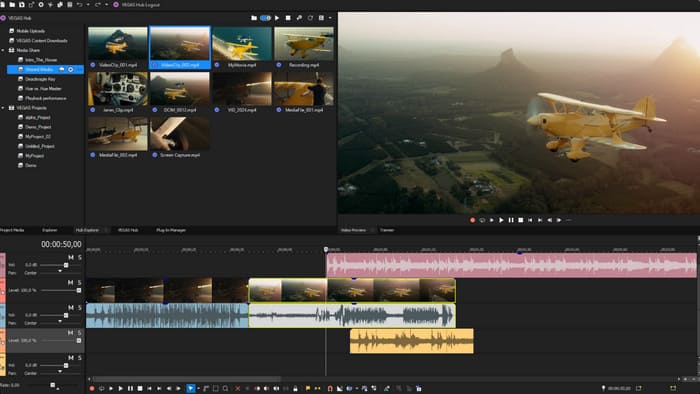Vegas Pro